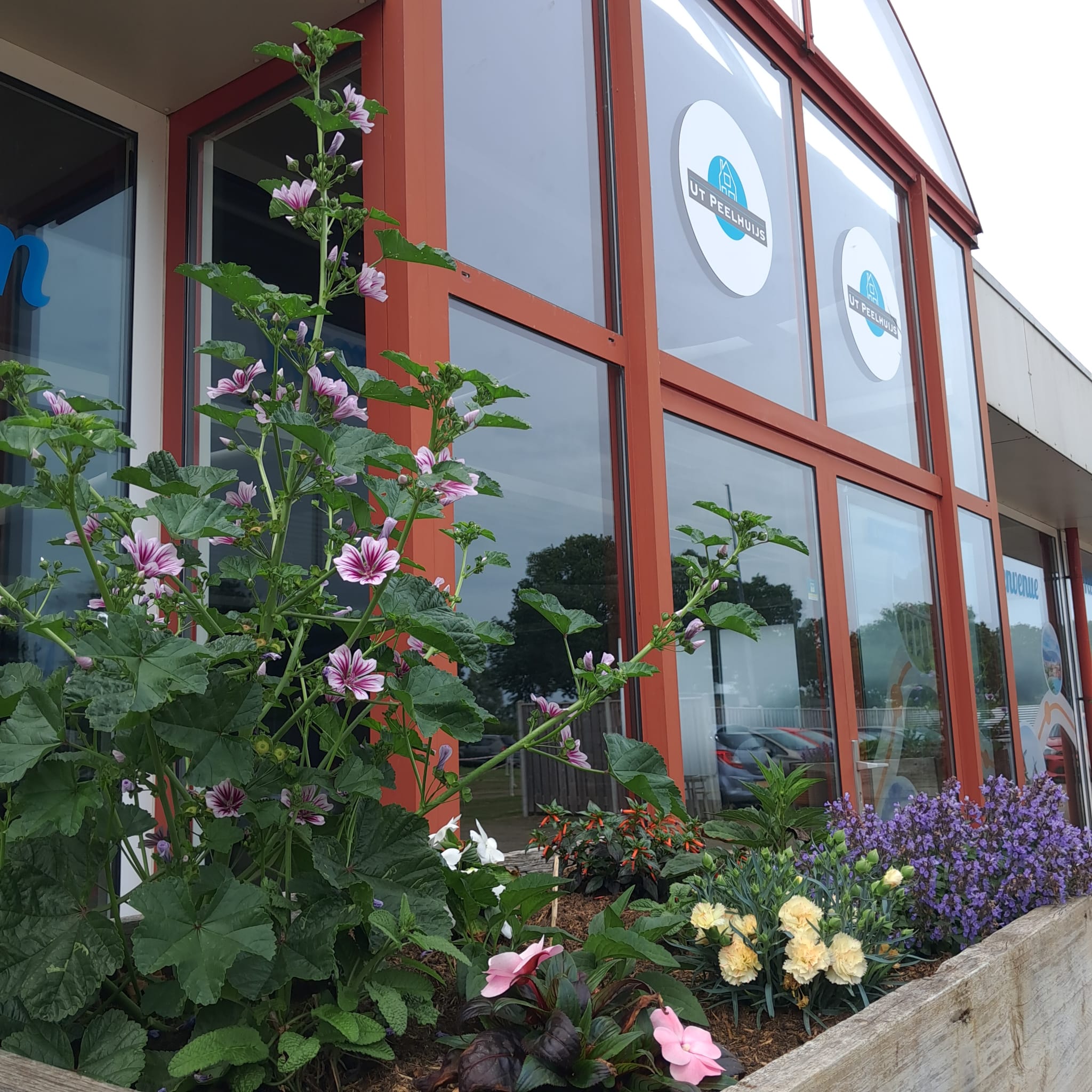 Ut Peelhuijs whatsapp image 2026 06 10 at 14.29.47
